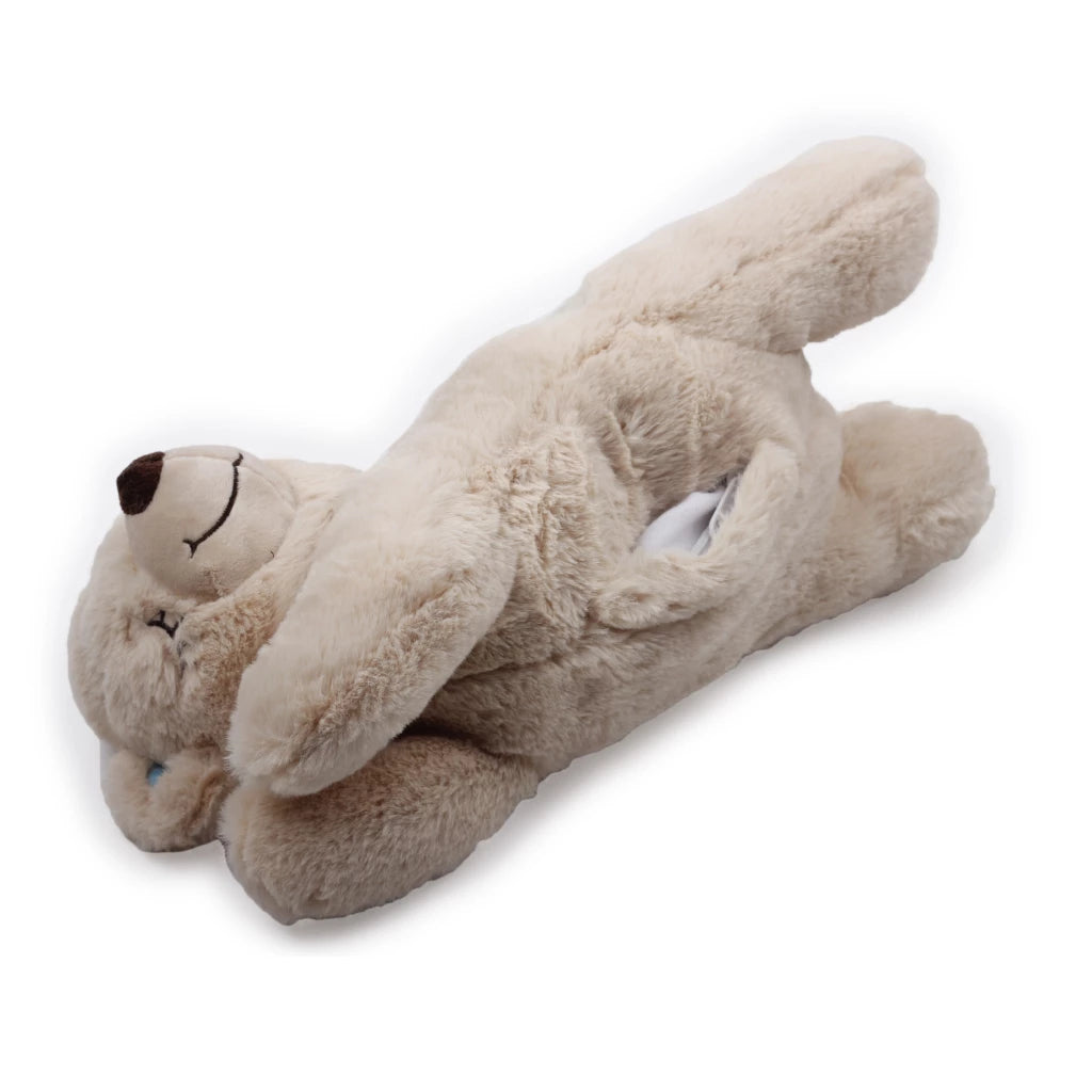 Ourson Chauffant Réconfortant pour Chiots et Chatons