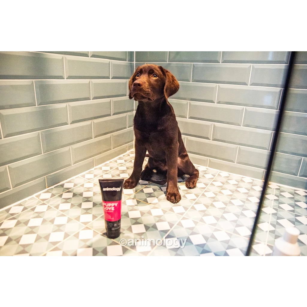 Animology Shampooing pour chiots Puppy Love 250 ml