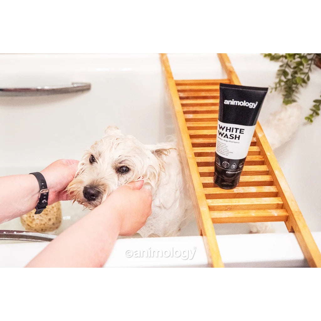 Shampooing pour chiens Animology Wash 250 ml