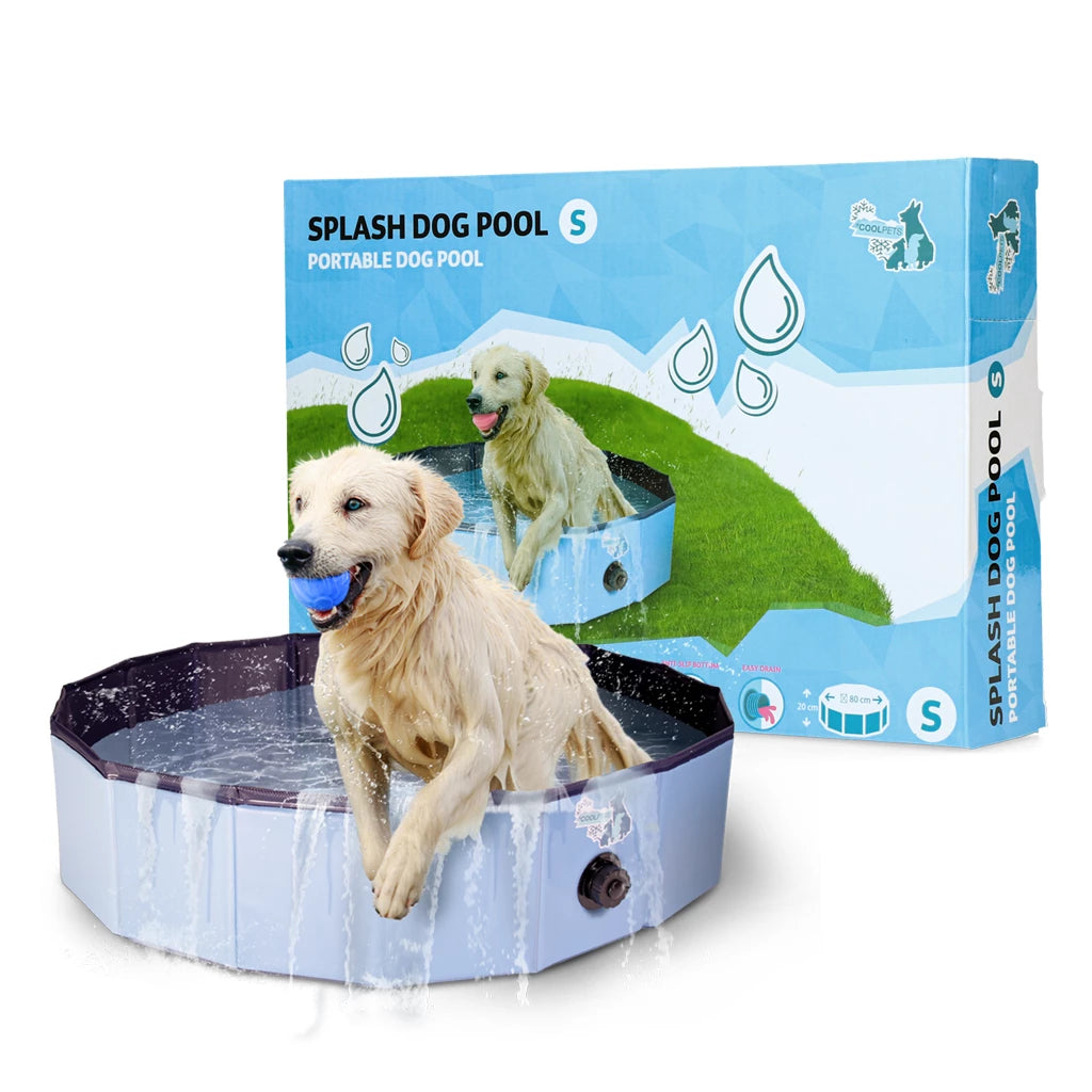 Piscine pour chiens – Fraîcheur et sécurité en été