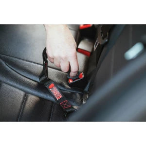 KONG Travel - Ceinture de sécurité pour chien en voiture