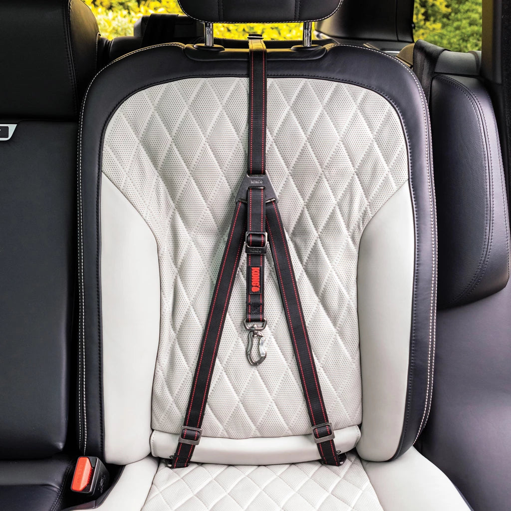 Sangle de sécurité KONG Ultimate pour chien en voiture – Système LATCH/ISOFIX