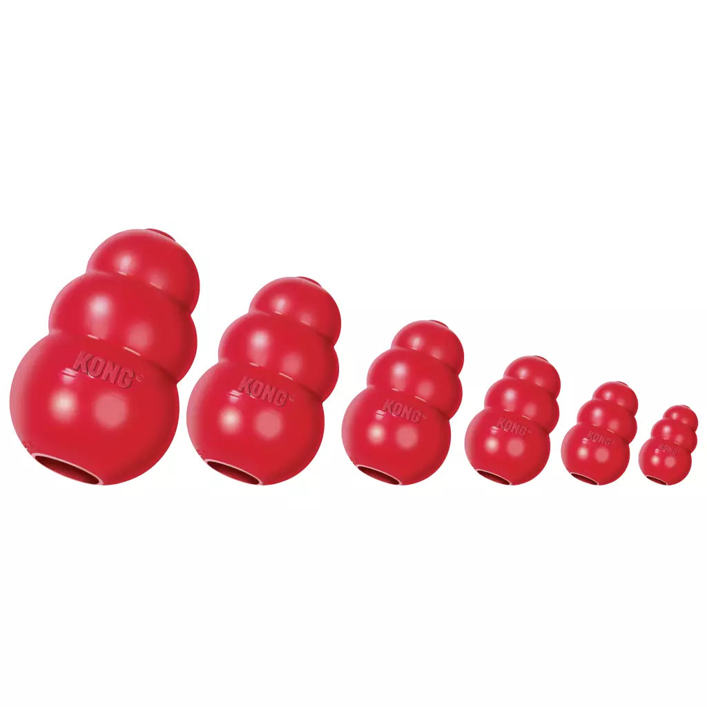 KONG Classic - Le jouet de mastication incontournable pour chiens de toutes tailles