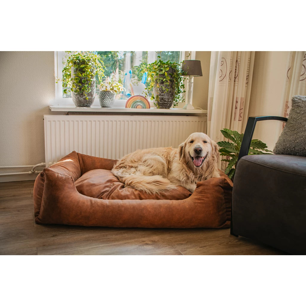 Let's Sleep Sweet Dreams - Panier-lit luxueux avec coussin amovible pour chien L