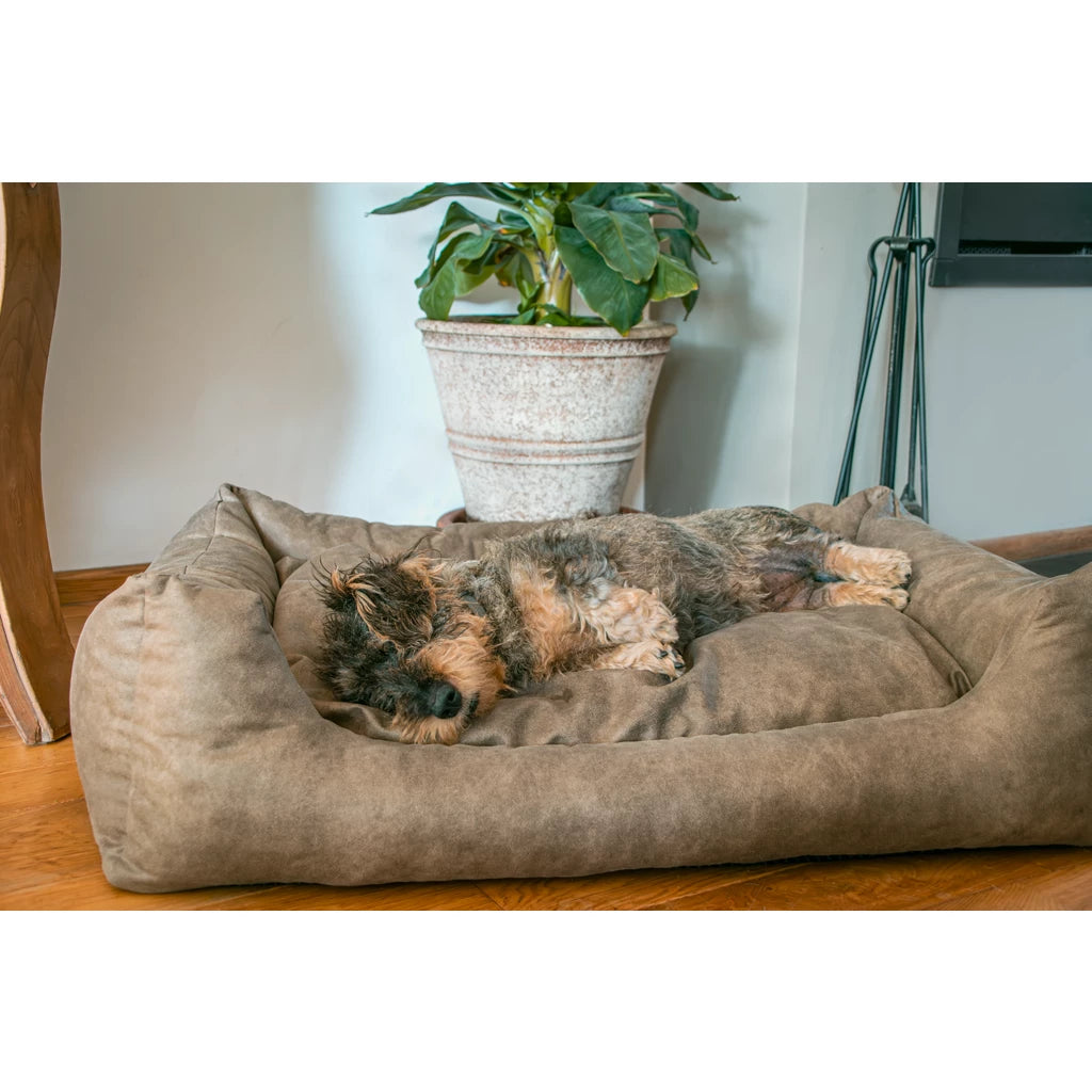 Let's Sleep Sweet Dreams - Panier-lit luxueux avec coussin amovible pour chien L