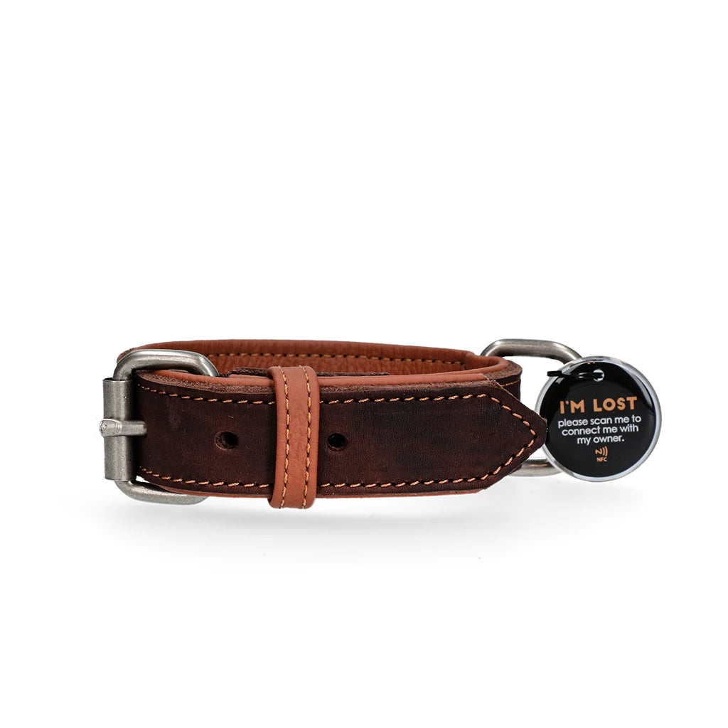 Collier en cuir cognac 2,5 x 40 cm