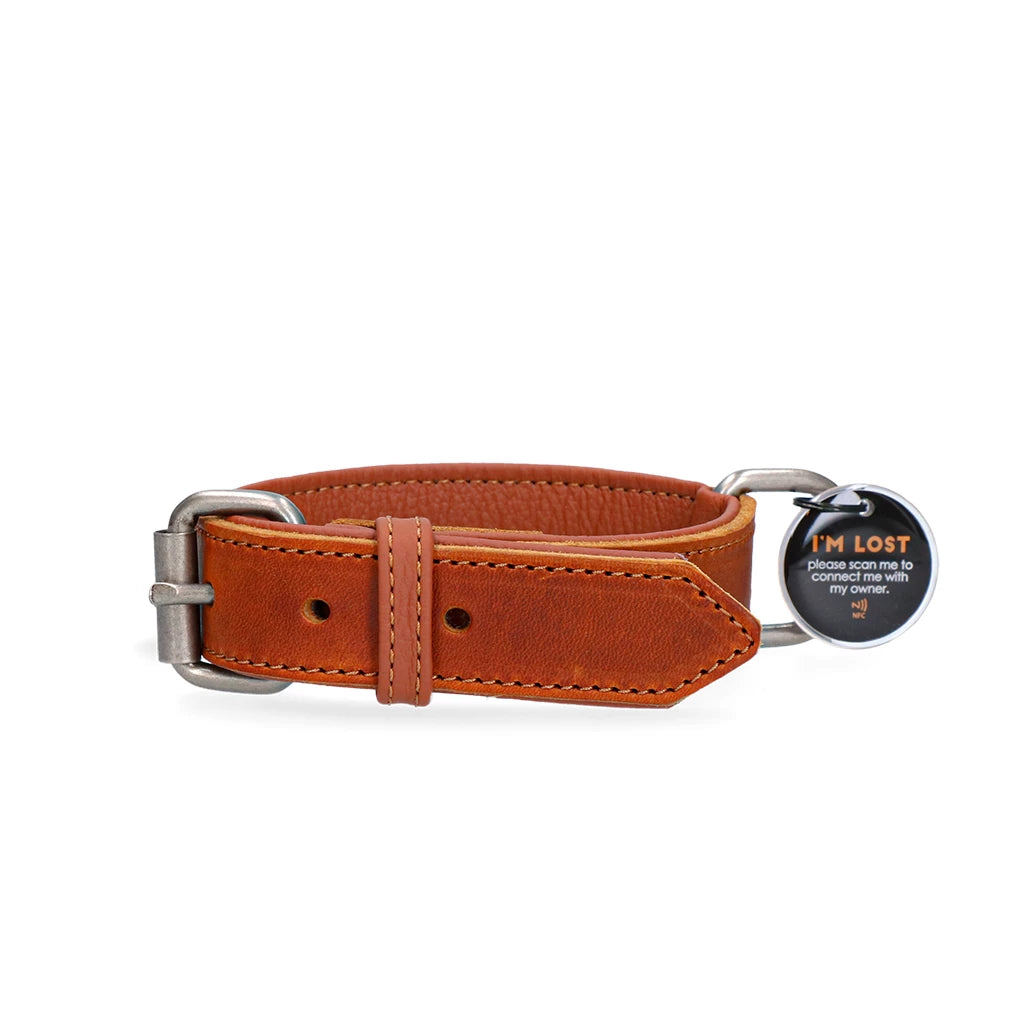 Collier en cuir cognac 2,5 x 40 cm