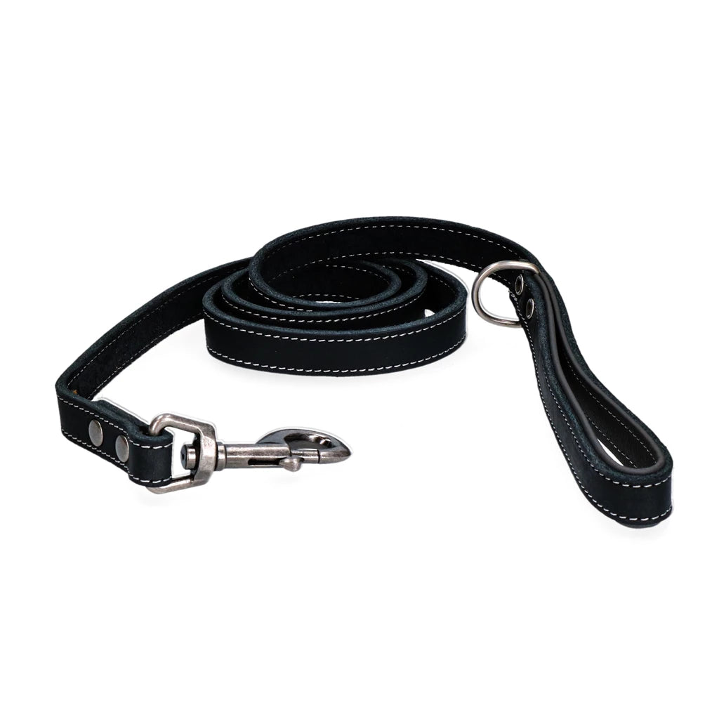 Laisse pour chien Spotted! Pro , noire