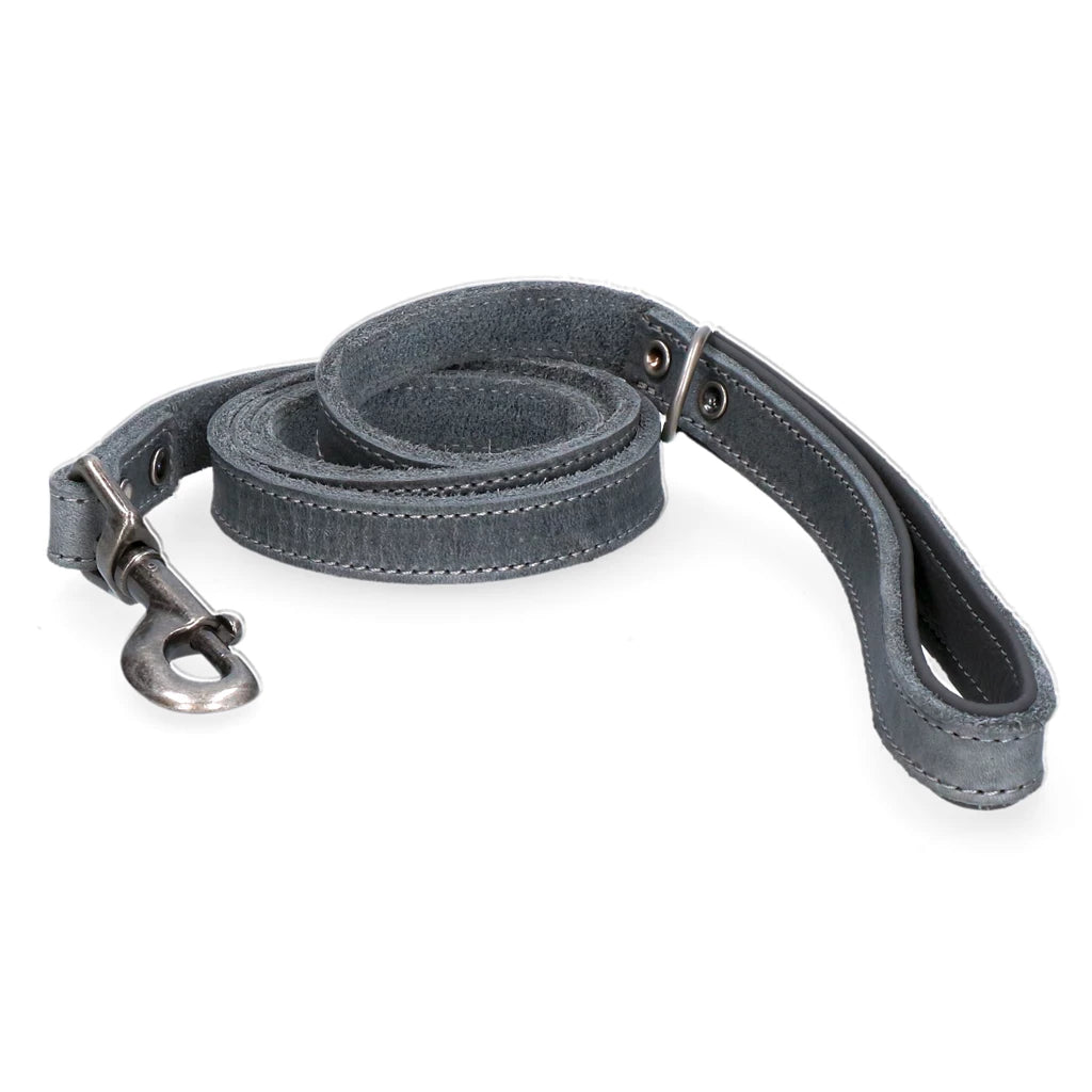 Laisse pour chien Spotted! Pro , noire
